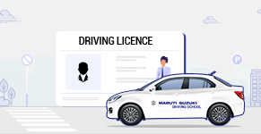 international driving license